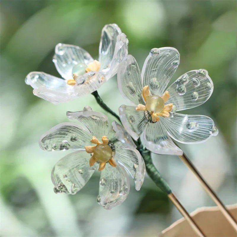 Skeleton Flower seeds for Planting Seasonal Bloomer Heirloom & GMO Free Seeds for Home Garden