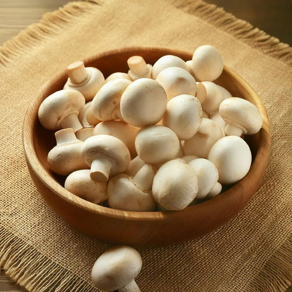 Non GMO mushroom spores for planting