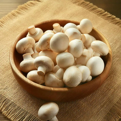 Non GMO mushroom spores for planting