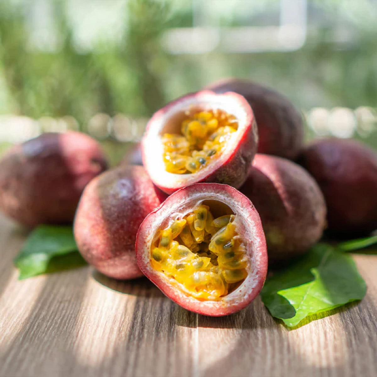 Non-GMO Passiflora incarnata seeds for home and greenhouse planting