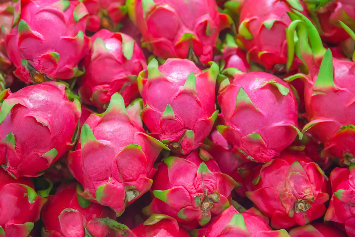 Non-GMO pitaya seeds for tropical garden