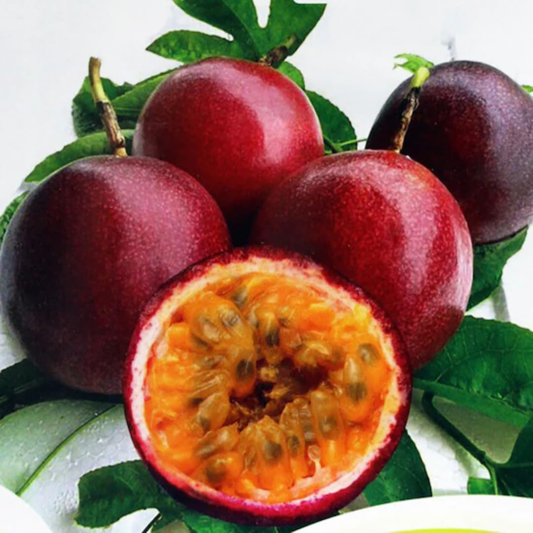 Non-GMO red passion fruit seeds for tropical garden planting