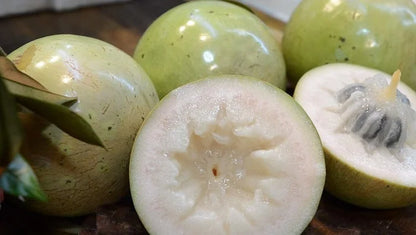 Non-GMO Vietnam Milk Melon seeds for tropical garden cultivation
