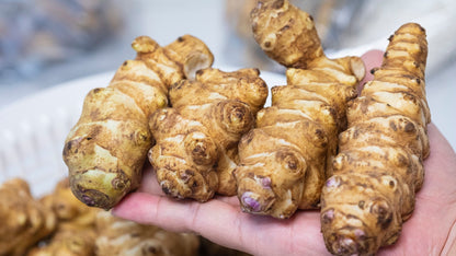 Jerusalem Artichoke (Sunchoke) Helianthus Tuberosus Yellow Sunflower Root Vegetable Seeds
