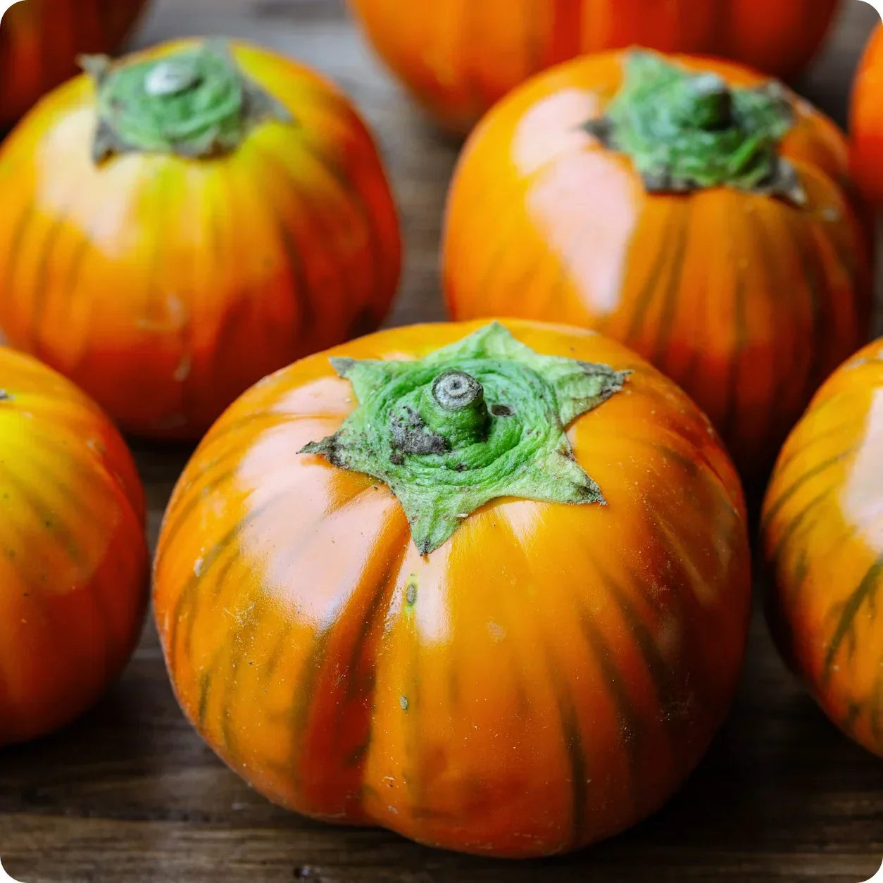 Orange Eggplant Sweet Fruit Seeds for Planting, Easy Guide for Growing Unique Eggplants