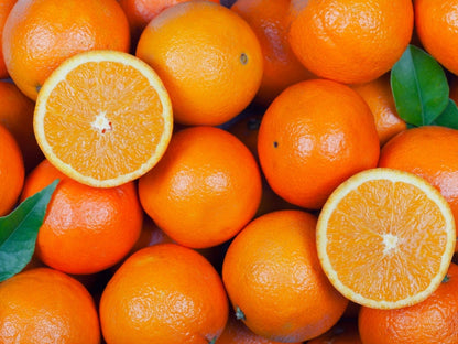 Orange Tree Growing in Garden, Healthy Tree with Vibrant Oranges Ready for Harvest
