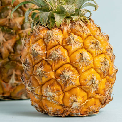 Orange pineapple seeds for planting tropical fruit at home