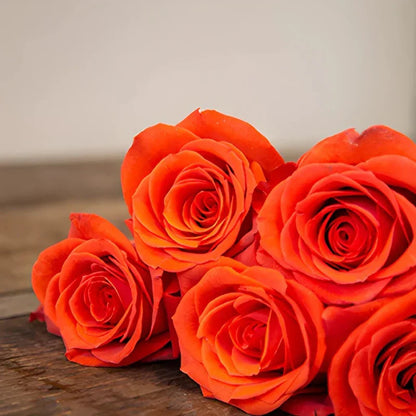 Unique Orange Rose Seeds for Planting