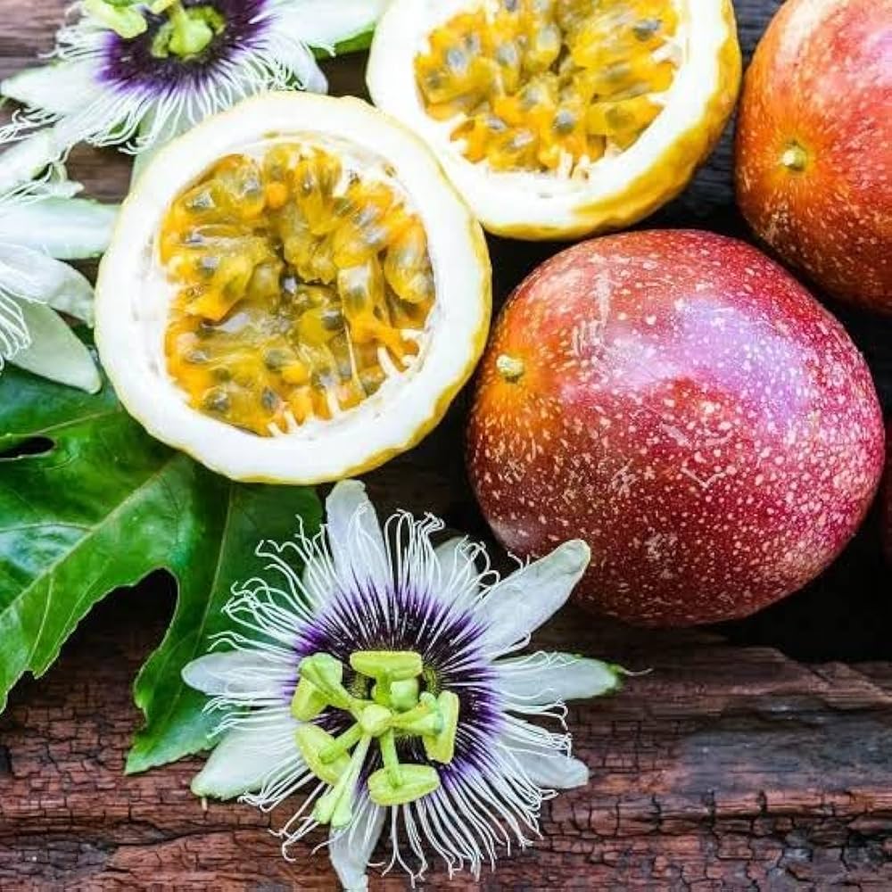 Tropical Garden Passion Fruit Plant from Seeds