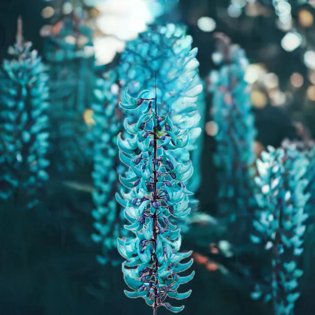 Jade Vine Light Green Flowers Growing on Pergola