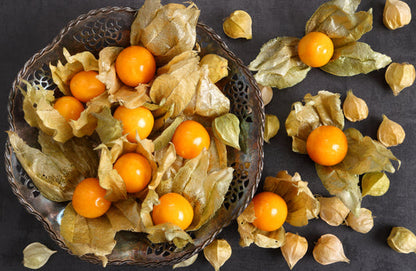 Pineapple Tomatillo Seeds Physalis ixocarpa yellow ground cherry vine