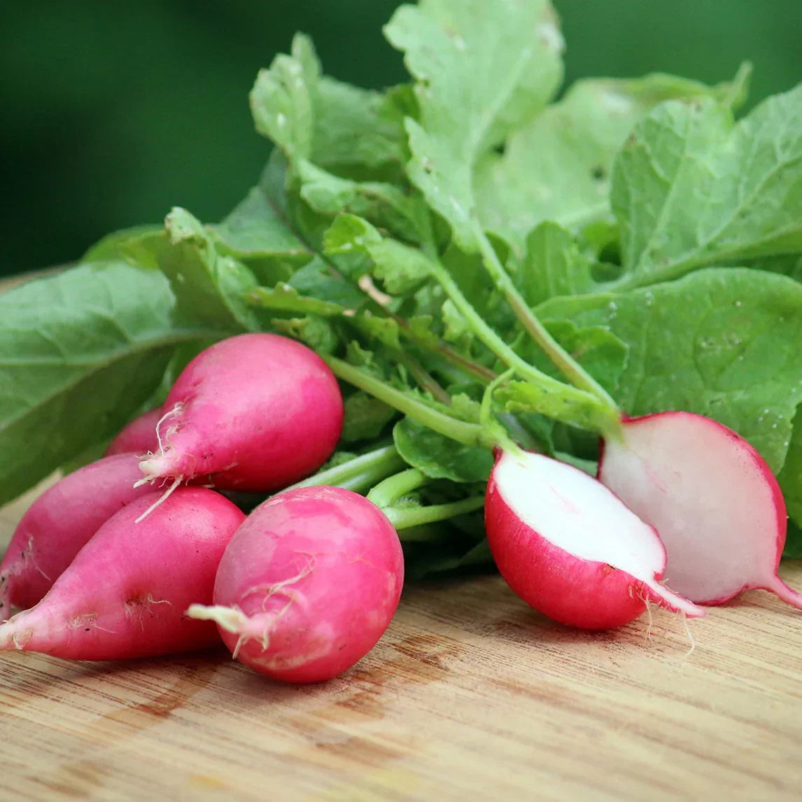 Pink radishes growing in garden soil