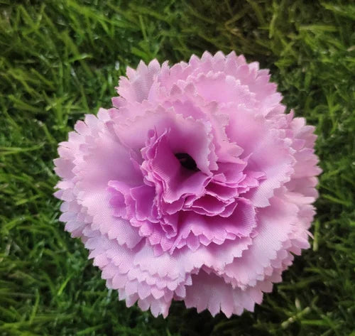 Lavender Carnation Flower seeds for Planting Wildflower Mix, Heirloom & GMO Free Seeds for Home Garden seeds for planting