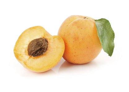 Golden apricots growing on tree branches