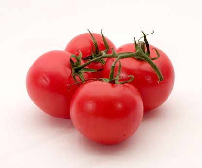 Red Cherry Tomato Plants in Garden Beds