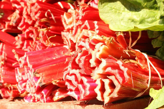 Packet of organic Redventure Celery seeds