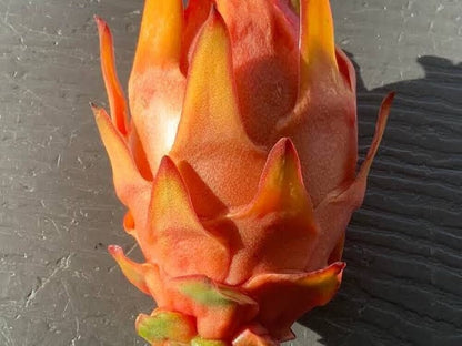 Light Orange Pitaya Fruit Seeds - Easy Planting For Exotic Fruits