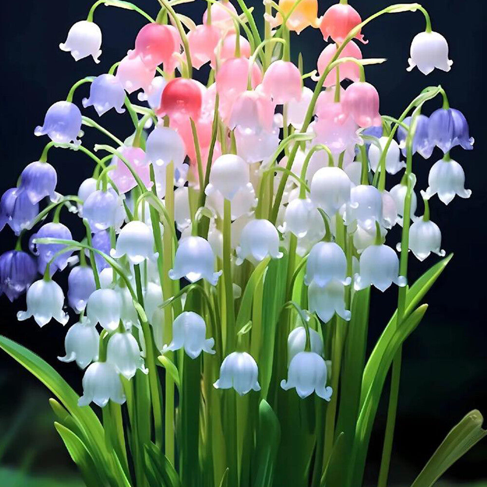 High quality Mixed Bell Orchid Flower seeds for Planting Low Maintenance, Heirloom & GMO Free Seeds for Home Garden seeds pack