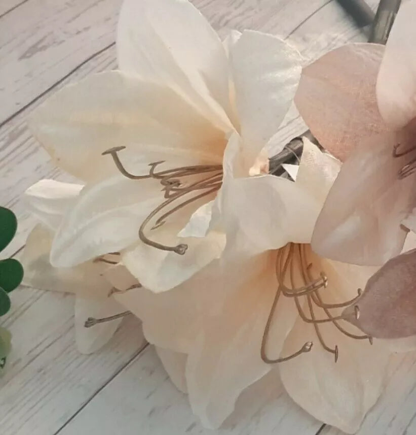 Ash Amaryllis Flower seeds for Planting Long Bloom Season Heirloom & GMO Free Seeds for Home Garden