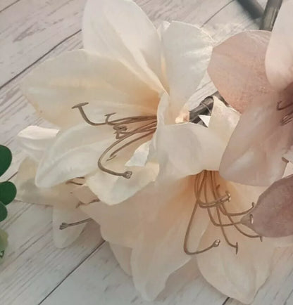 Ash Amaryllis Flower seeds for Planting Long Bloom Season Heirloom & GMO Free Seeds for Home Garden