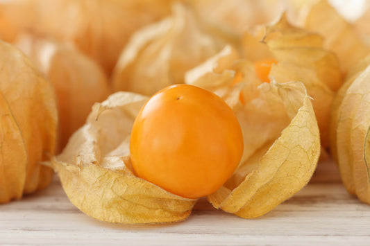 Peruvian Ground Cherry (Physalis Peruviana) Cape Gooseberry Fruit & Veggie Seeds