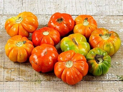 Solanum melongena Ruffled Red Eggplant plant with colorful fruits