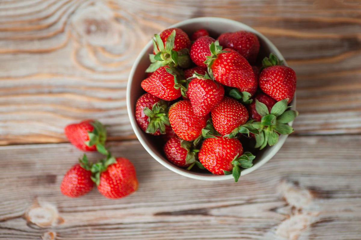 Strawberry seedlings germination and planting guide