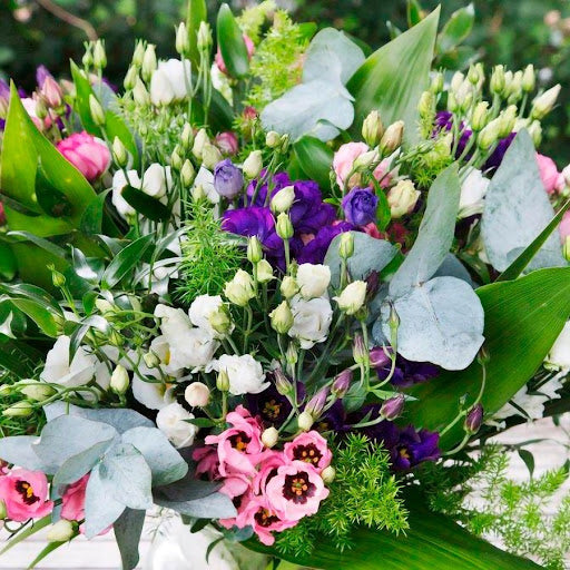 Premium Mixed Lisianthus Flower seeds for Planting Pollinator Friendly, Heirloom & GMO Free Seeds for Home Garden seeds