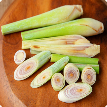 West Indian Lemongrass seeds Cymbopogon citratus edible plant