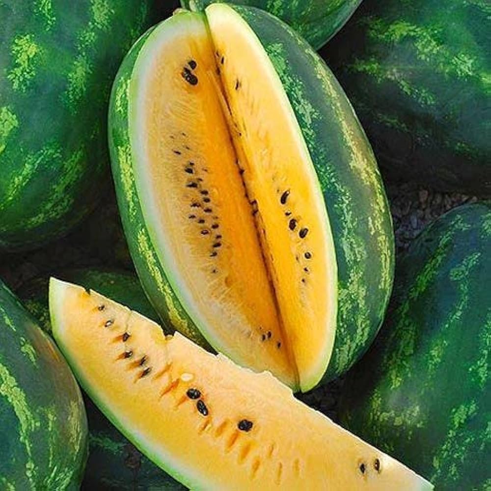 Yellow Watermelon Fruit Seeds – Citrullus lanatus for Warm Climates